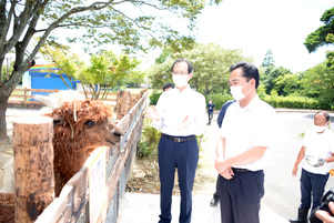 写真：アルパカの飼育場を視察