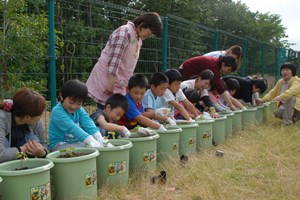 写真：広野町児童館の子どもたちが、オーガニックコットンの苗を植えている様子