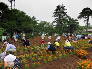 写真：花いっぱい運動実施の様子