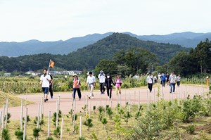 写真：9月30日ひろの健康ウォーク