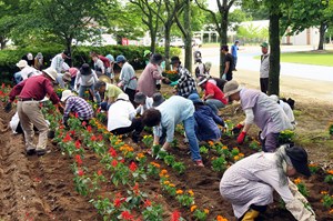 写真：7月2日花いっぱい運動