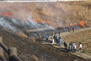 写真：野焼き