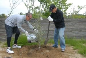 写真：オリーブを植樹する参加者