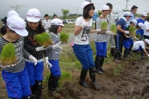 写真：小学生と中学生合同の田植え体験の様子