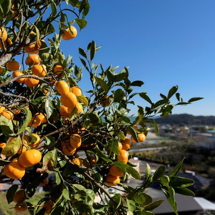 広野町の生活環境左