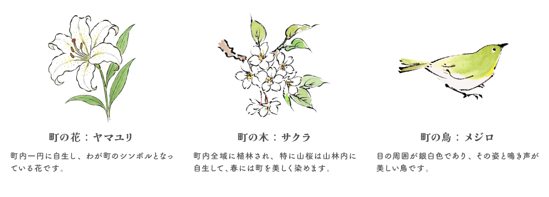 町の花はヤマユリで、町内一円に自生し、わが町のシンボルとなっています。町の木はサクラで町内全域に植林されています。特に山桜は山林内に自生して、春には町を美しく染めます。町の鳥はメジロで、目の周囲が銀白色であり、その姿と鳴き声が美しい鳥です。