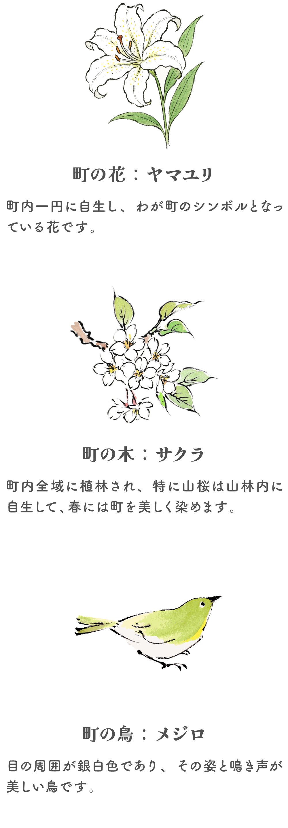 町の花はヤマユリで、町内一円に自生し、わが町のシンボルとなっています。町の木はサクラで町内全域に植林されています。特に山桜は山林内に自生して、春には町を美しく染めます。町の鳥はメジロで、目の周囲が銀白色であり、その姿と鳴き声が美しい鳥です。