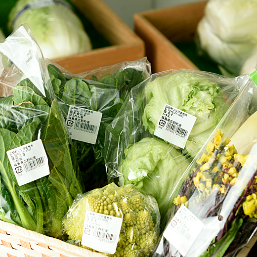 二ツ沼総合公園内の二ツ沼直売所「のらっこ」で販売されている野菜