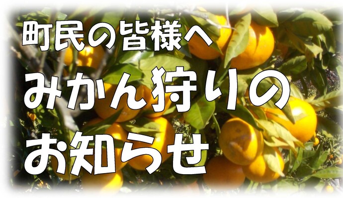 みかん狩りのお知らせ