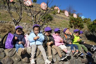 広野こども園園児みかん狩りを楽しむ