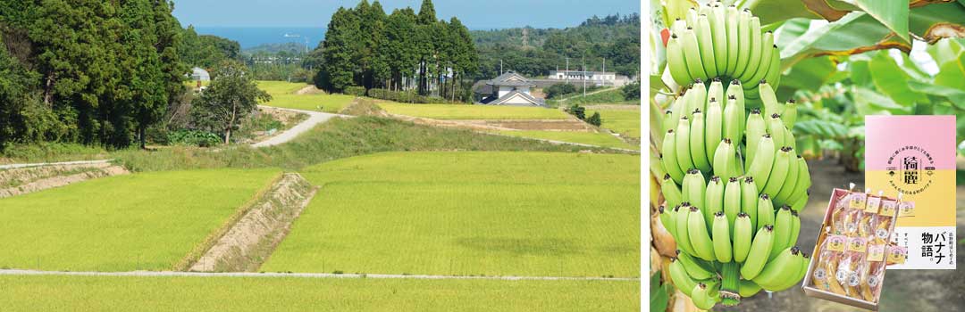 広野町の農業