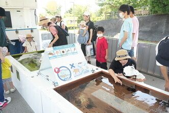 ひろの移動水族館を開催