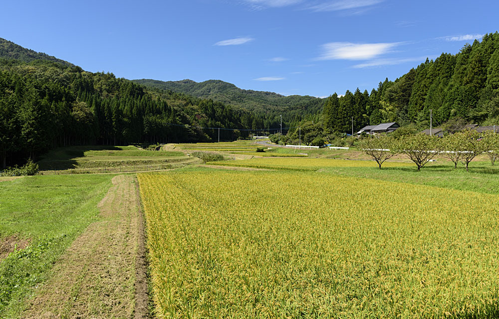 箒平の集落