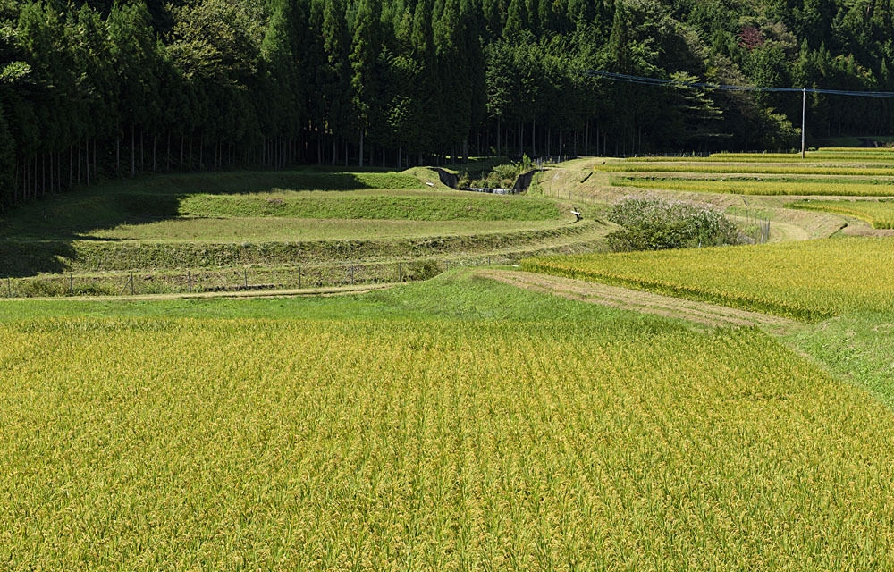 箒平の集落