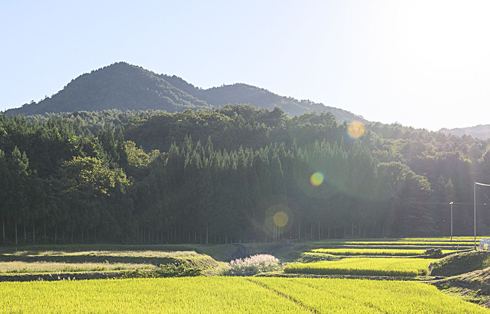 箒平の集落