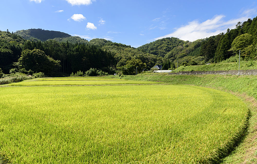 箒平の集落