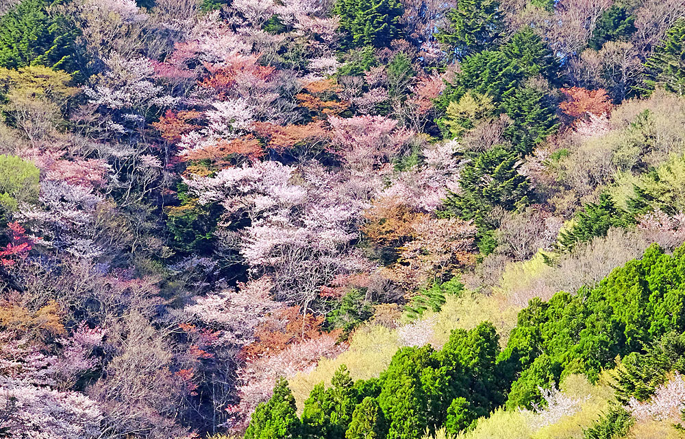 広野町で四季を楽しむ