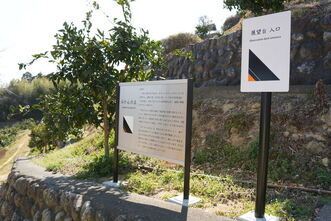 みかん栽培講習会